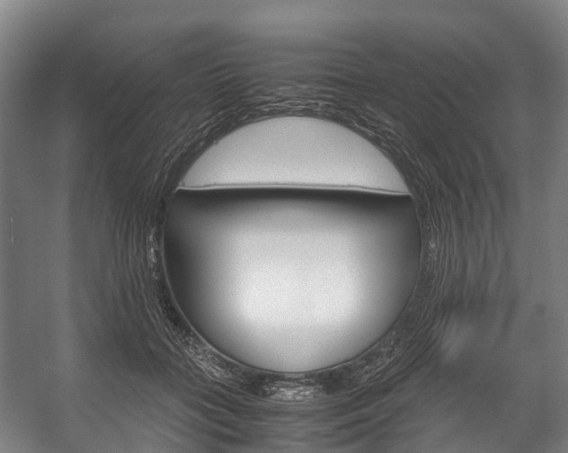X0000058110555200509230823