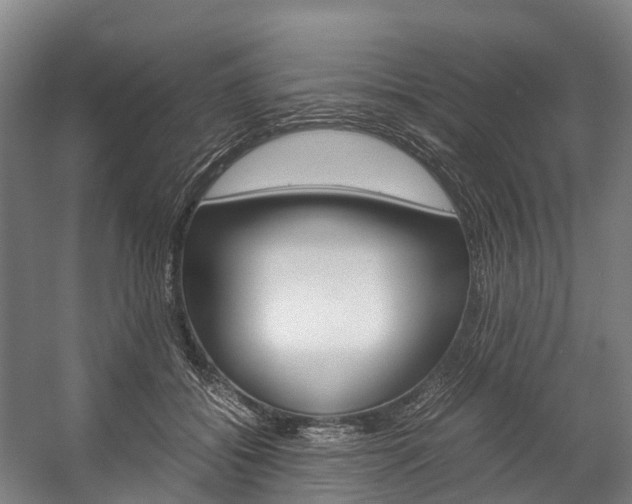 X0000058110556200509230823