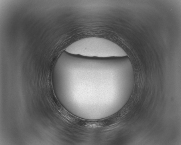 X0000058110557200509230823