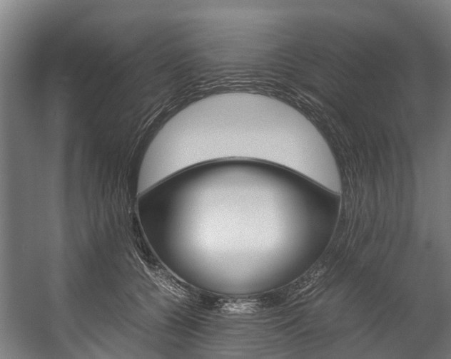 X0000058110560200509230823