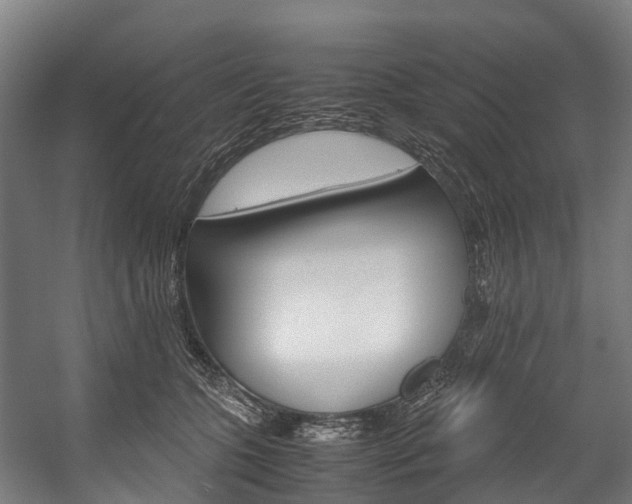 X0000058110563200509230823