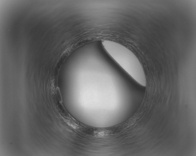 X0000058110564200509230823