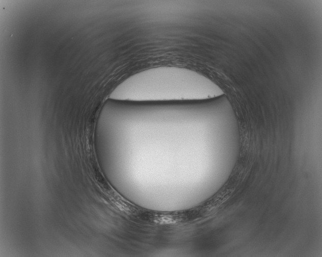 X0000058110565200509230823