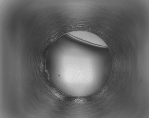 X0000058110566200509230823