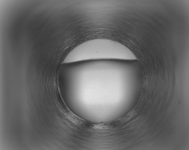 X0000058110568200509230823