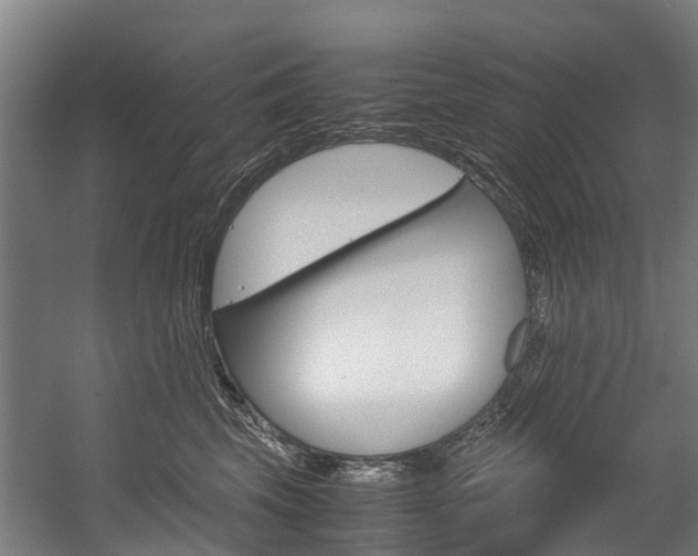 X0000058110569200509230823
