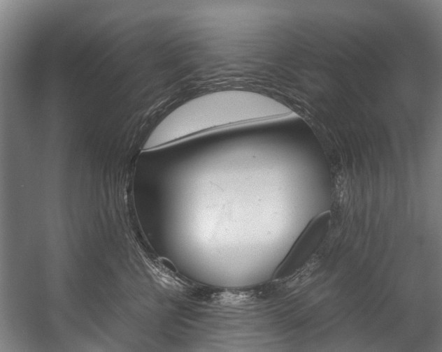 X0000058110570200509230823
