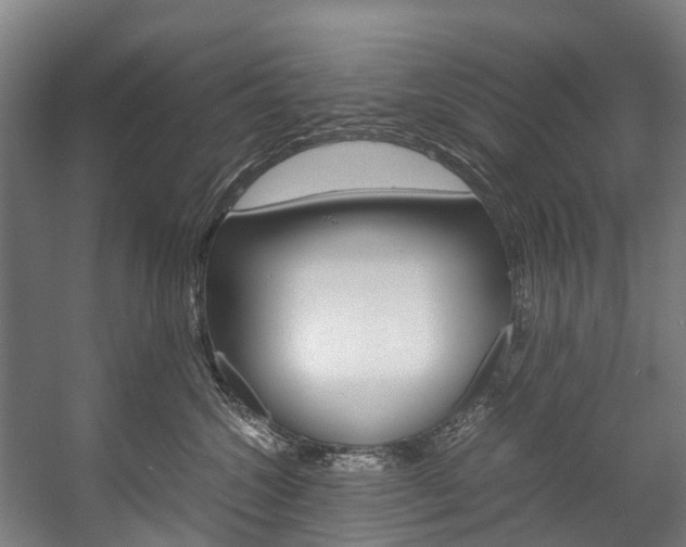 X0000058110572200509230823
