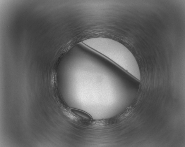 X0000058110574200509230823