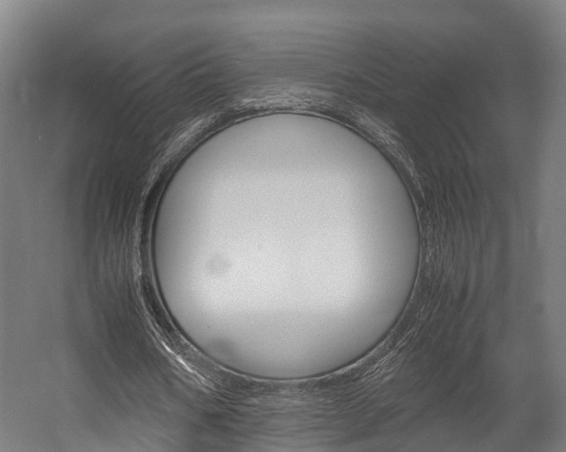 X0000058110578200509230822