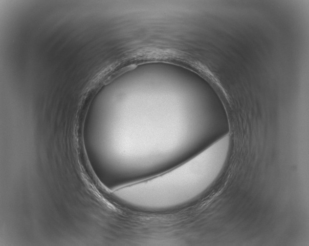 X0000058110581200509230822