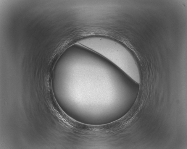X0000058110585200509230822
