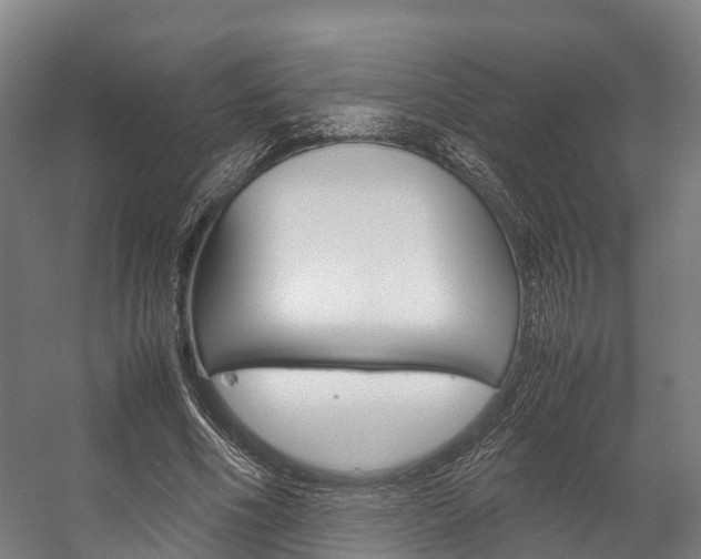 X0000058110586200509230822
