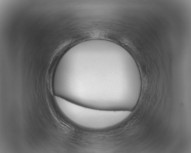 X0000058110587200509230822
