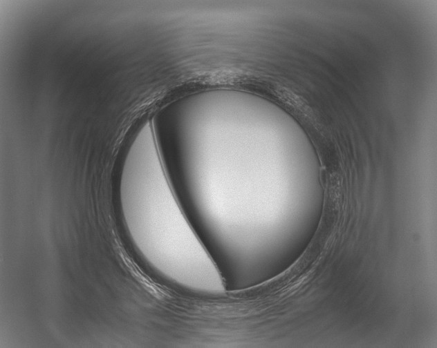 X0000058110589200509230822