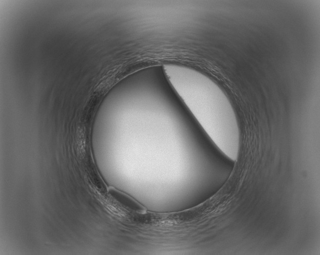 X0000058110593200509230822