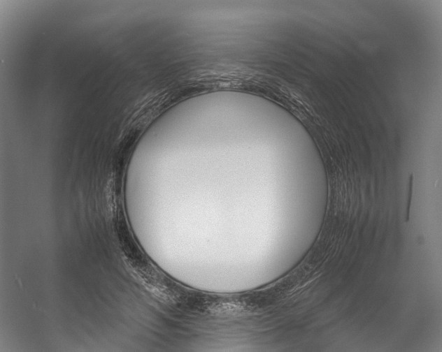 X0000058110594200509230822