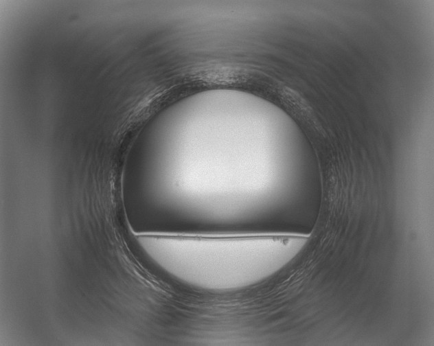 X0000058110596200509230822