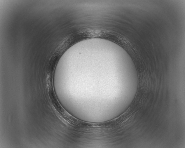 X0000058110598200509230822