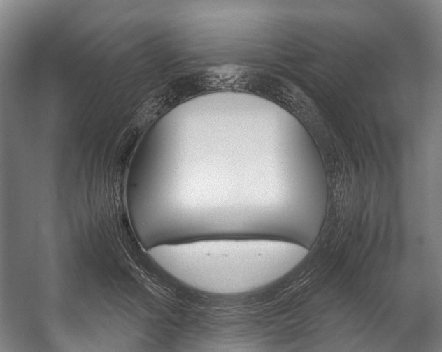 X0000058110602200509230822