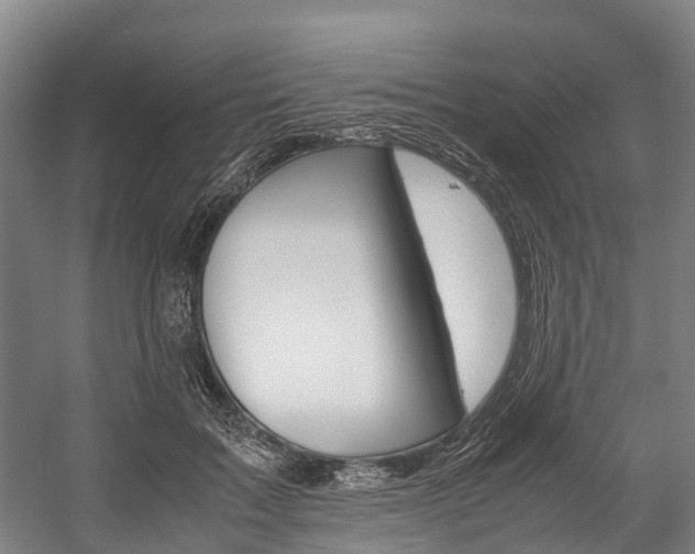 X0000058110603200509230822