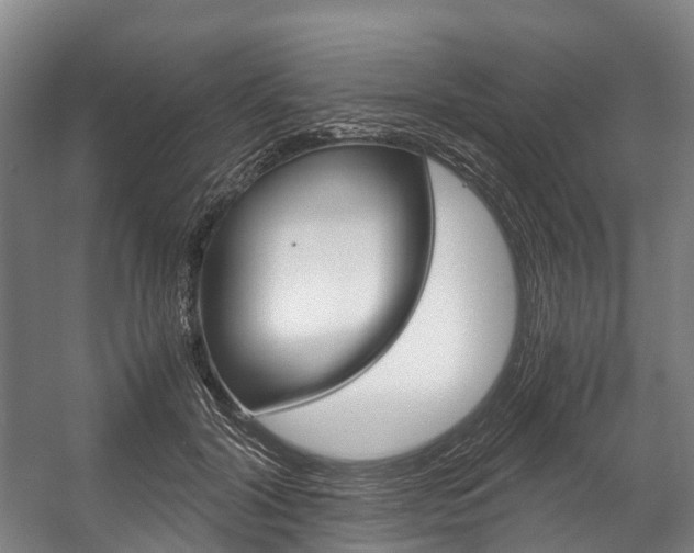 X0000058110604200509230822
