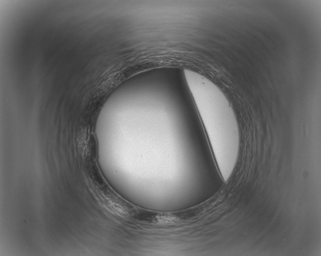 X0000058110605200509230822