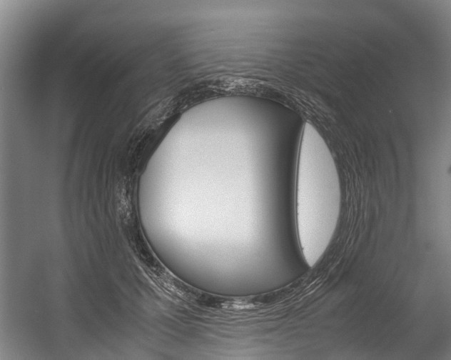 X0000058110607200509230822