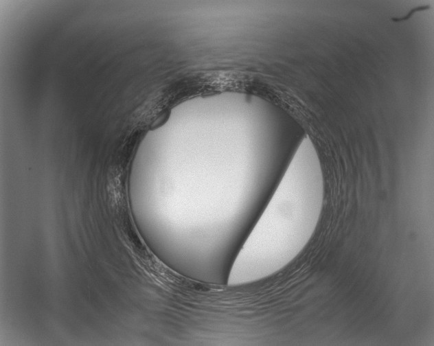 X0000058110611200509230822