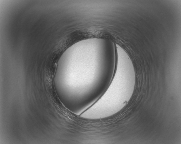 X0000058110613200509230822