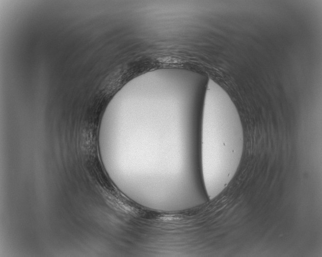 X0000058110614200509230822