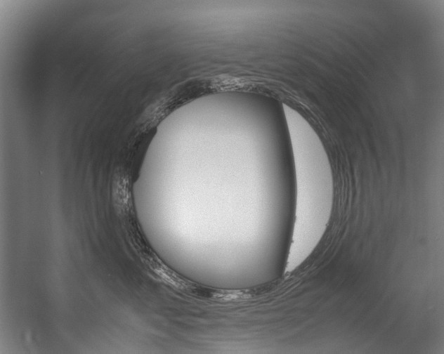 X0000058110621200509230822