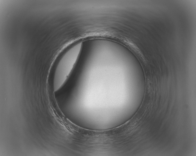 X0000058110628200509230821