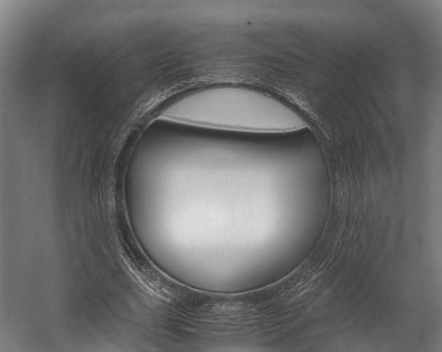 X0000058110631200509230821