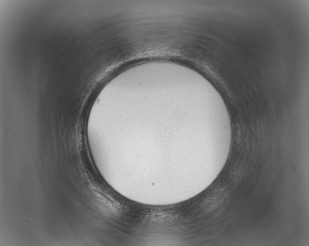 X0000058110632200509230821