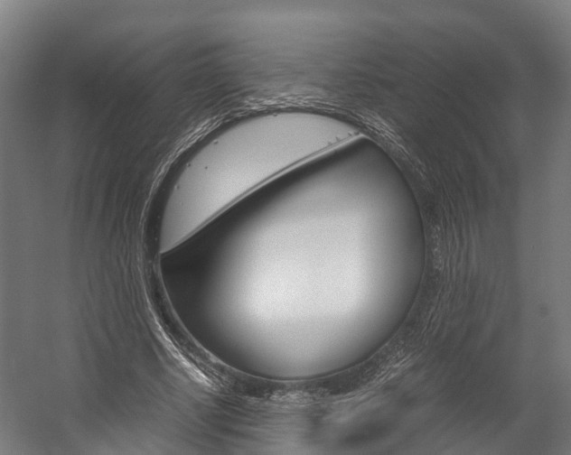 X0000058110634200509230821