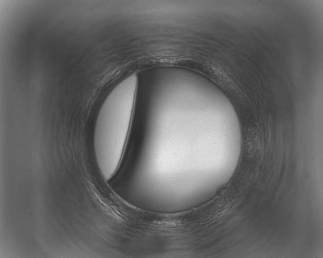 X0000058110639200509230821