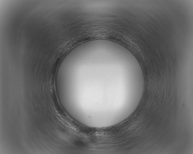 X0000058110641200509230821