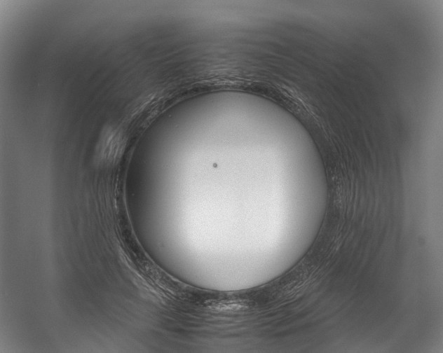 X0000058110643200509230821
