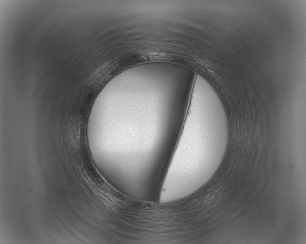 X0000058110645200509230821