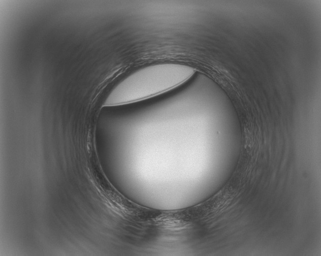 X0000058110648200509230821