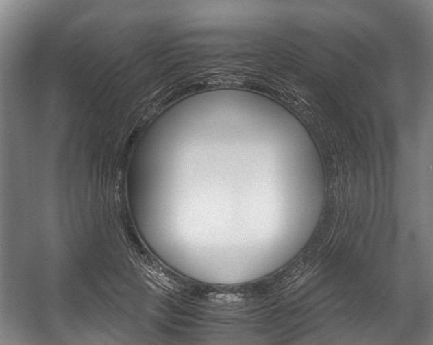 X0000058110649200509230821