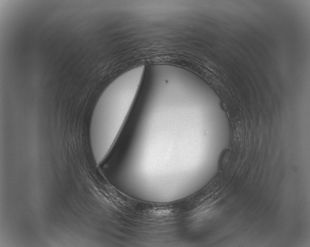 X0000058110651200509230821