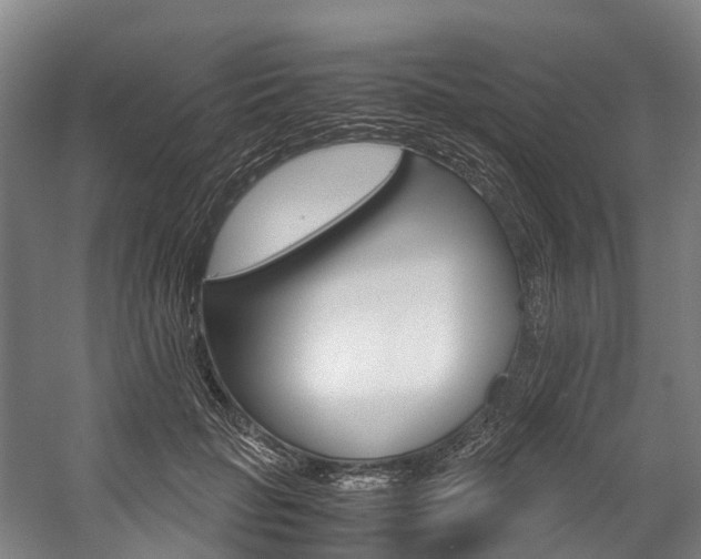 X0000058110653200509230821