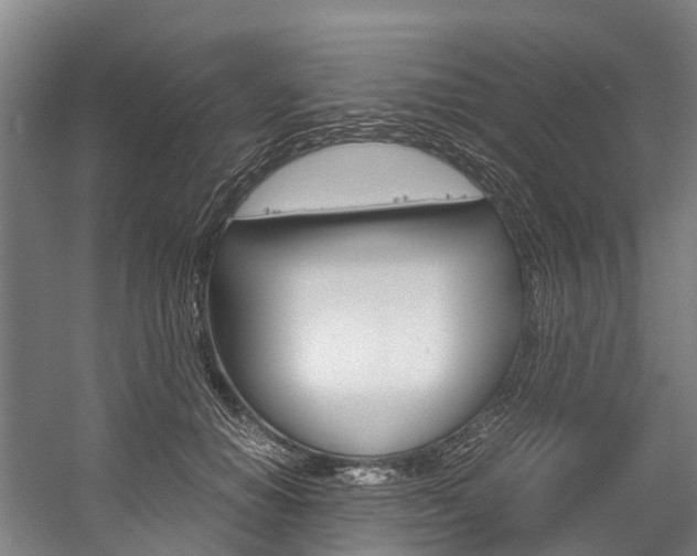 X0000058110654200509230821