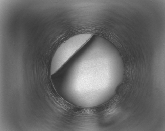 X0000058110656200509230821