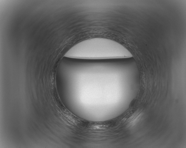 X0000058110657200509230821