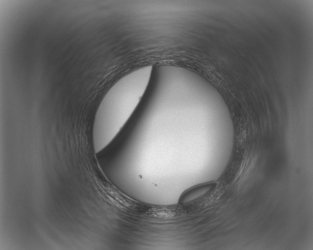 X0000058110658200509230821
