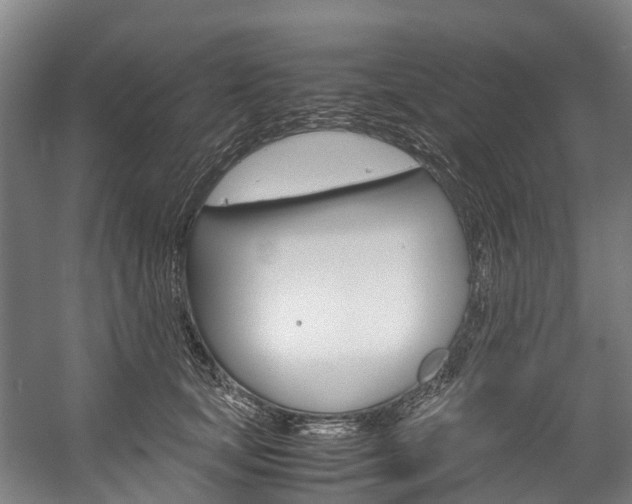 X0000058110659200509230821