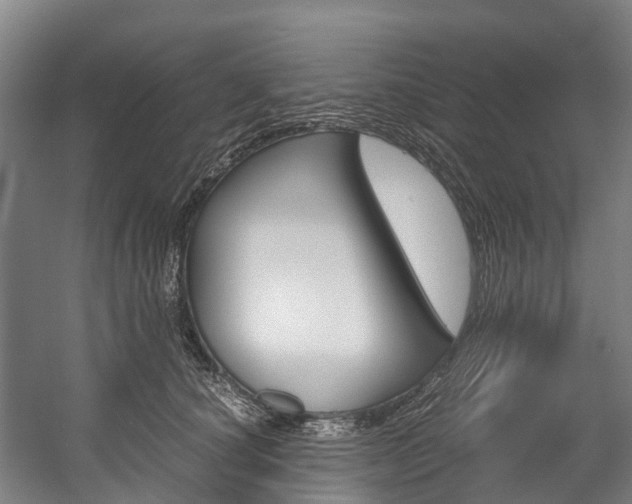 X0000058110660200509230821